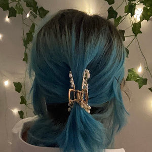 Meet your Posher, Tiana